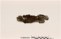 藏品(凸緣孔梅衣)的圖片